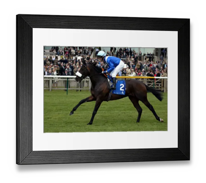 Framed Print : Storming Home Framed Print : Storming Home