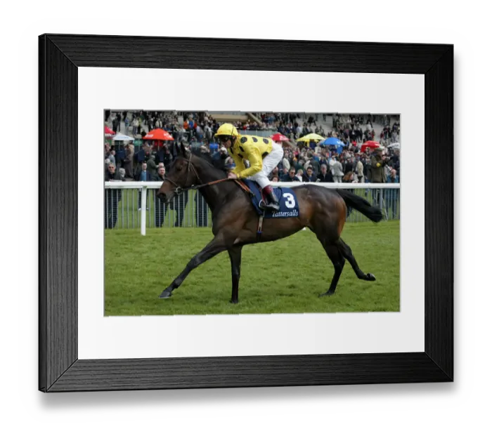 Framed Print : Fraulein Ridden By L.Dettori York Racecourse York Racecourse, York 14 May 2002 Date Framed Print : Fraulein Ridden By L.Dettori York Racecourse York Racecourse, York 14 May 2002 Date