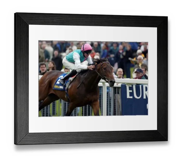 Framed Print : Serieux Ridden By R.Hughes York Racecourse York Racecourse, York 14 May 2002 Date Framed Print : Serieux Ridden By R.Hughes York Racecourse York Racecourse, York 14 May 2002 Date