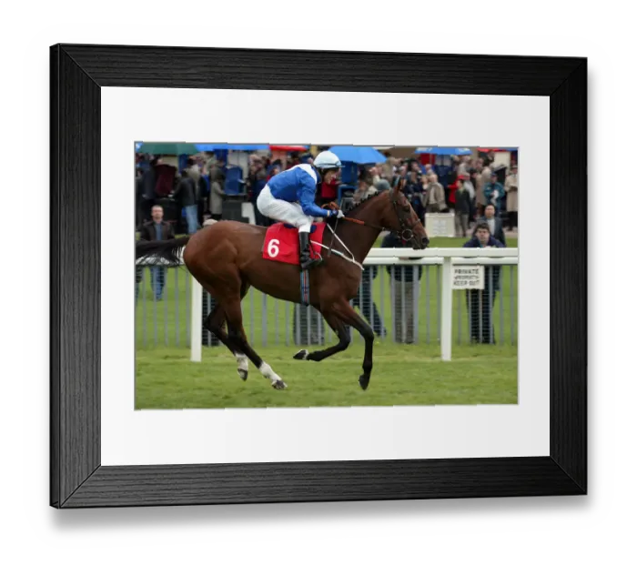Framed Print : Systematic Framed Print : Systematic