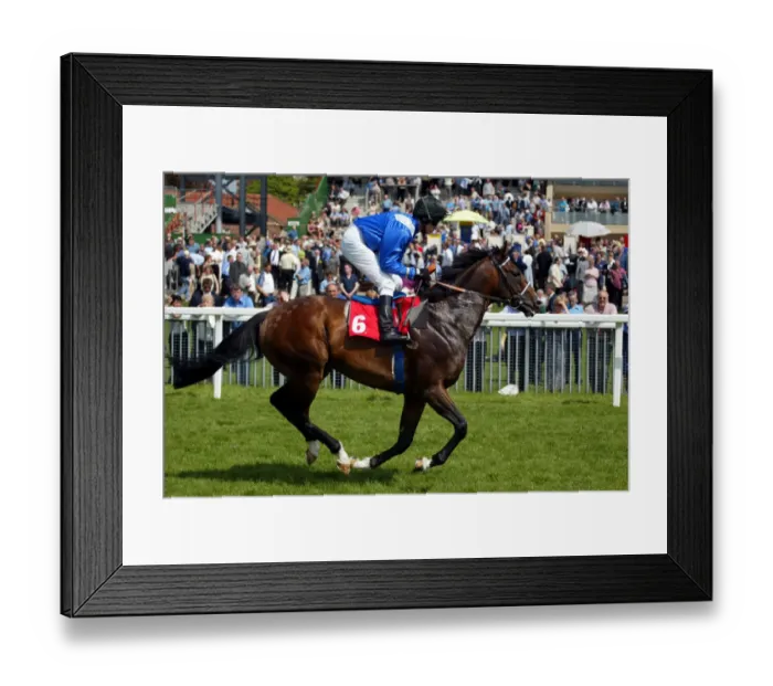 Framed Print : Mugharreb Ridden By W.Supple York Races York Racecourse, York 16 May 2002 Date Framed Print : Mugharreb Ridden By W.Supple York Races York Racecourse, York 16 May 2002 Date