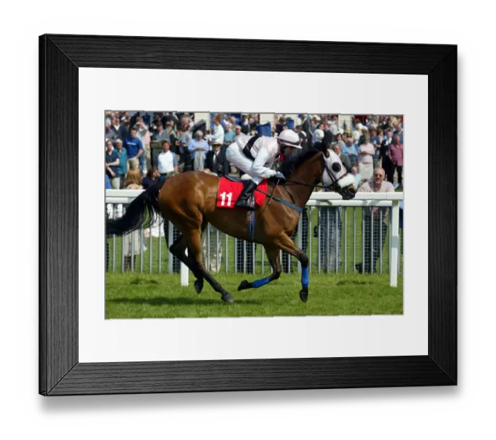 Framed Print : Vita Spericolata Framed Print : Vita Spericolata