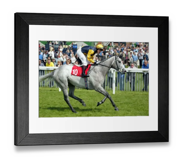 Framed Print : Misty Eyed