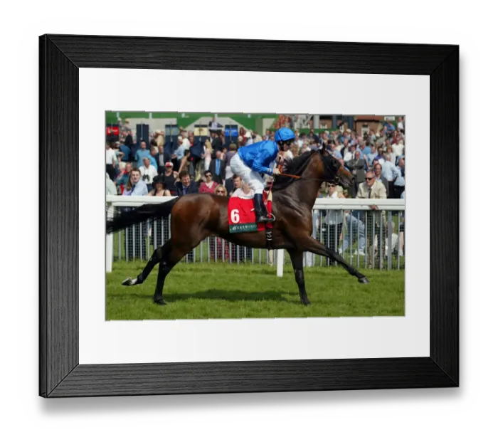 Framed Print : Sydenham Ridden By R.Hills York Races York Racecourse, York 16 May 2002 Date: 16 May 2002 Framed Print : Sydenham Ridden By R.Hills York Races York Racecourse, York 16 May 2002 Date: 16 May 2002