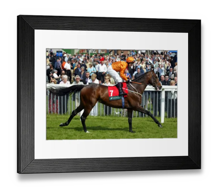 Framed Print : Zindabad Ridden By K.Darley York Races York Racecourse, York 16 May 2002 Date: 16 May 2002 Framed Print : Zindabad Ridden By K.Darley York Races York Racecourse, York 16 May 2002 Date: 16 May 2002