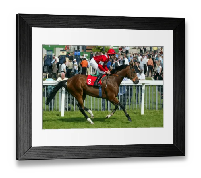 Framed Print : Nysaean Ridden By R.Hughes York Races York Racecourse, York 16 May 2002 Date: 16 May 2002 Framed Print : Nysaean Ridden By R.Hughes York Races York Racecourse, York 16 May 2002 Date: 16 May 2002