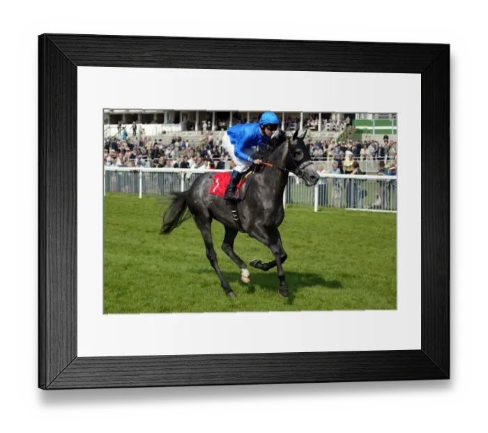Framed Print : Imtiyaz Ridden By R.Hills York Races York Racecourse, York 16 May 2002 Date: 16 May 2002 Framed Print : Imtiyaz Ridden By R.Hills York Races York Racecourse, York 16 May 2002 Date: 16 May 2002