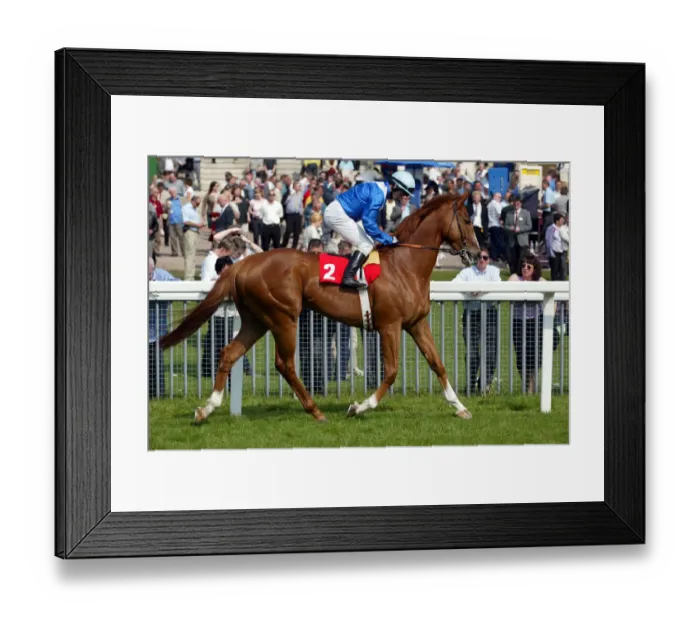 Framed Print : L Oiseau D Argent Framed Print : L Oiseau D Argent