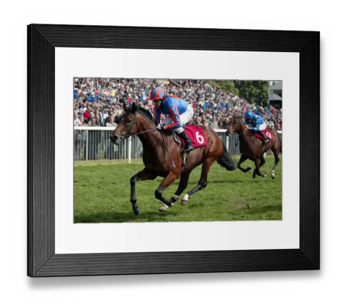 Framed Print : Marcus Andronicus Framed Print : Marcus Andronicus