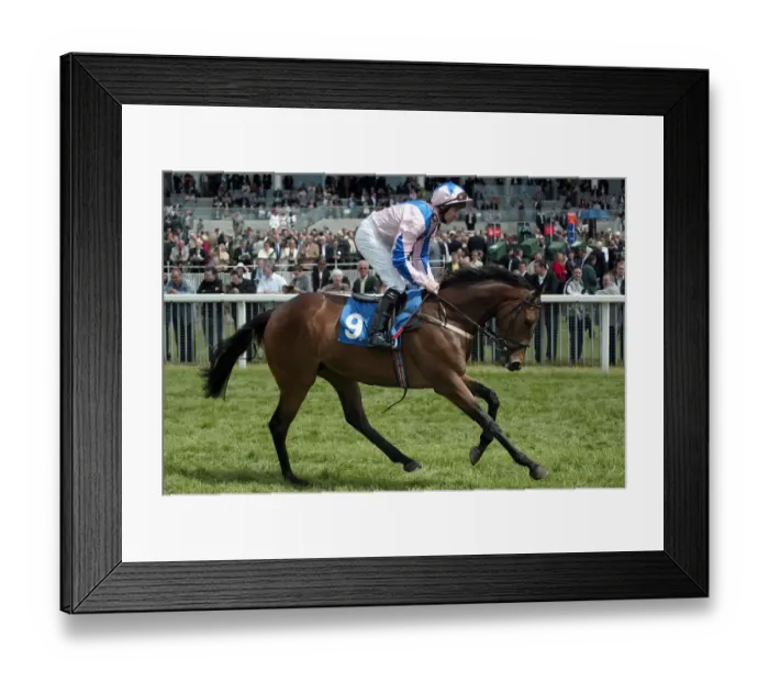 Framed Print : Thornton Princess Framed Print : Thornton Princess