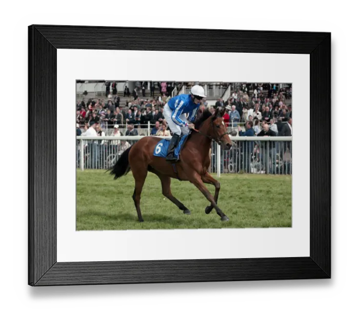 Framed Print : Dream Rose Framed Print : Dream Rose