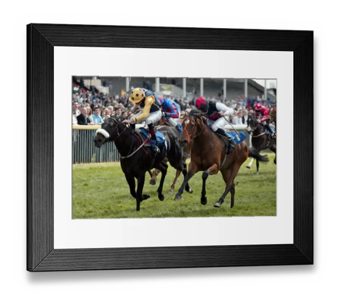 Framed Print : Bow Bridge Ahead Of Gamble In Gold Framed Print : Bow Bridge Ahead Of Gamble In Gold