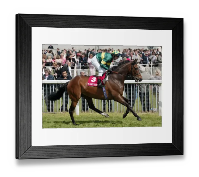 Framed Print : Alcazar Ridden By M.Fenton York 2 May Festival York Racecourse Framed Print : Alcazar Ridden By M.Fenton York 2 May Festival York Racecourse