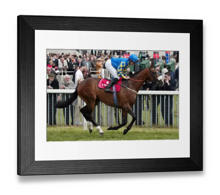 Framed Print : Frank Sonata Framed Print : Frank Sonata