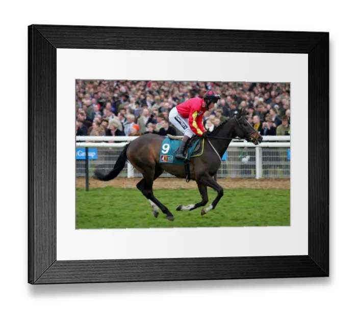 Framed Print : Nikola Ridden By C.Llewellyn Cheltenham Festival 2006 Cheltenham Racecourse Framed Print : Nikola Ridden By C.Llewellyn Cheltenham Festival 2006 Cheltenham Racecourse