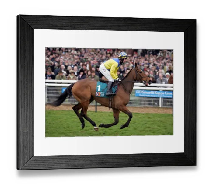 Framed Print : Blueberry Ridden By Denis O Regan Cheltenham Festival 2006 Cheltenham Racecourse