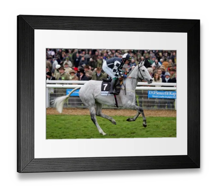 Framed Print : Monets Garden Framed Print : Monets Garden