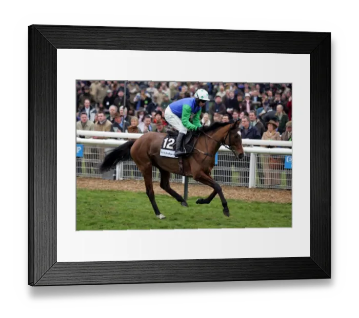 Framed Print : Don T Be Shy Framed Print : Don T Be Shy