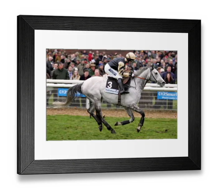Framed Print : Coat Of Honour Framed Print : Coat Of Honour
