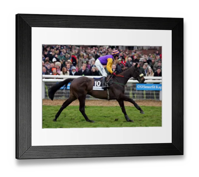 Framed Print : Wild Passion Framed Print : Wild Passion