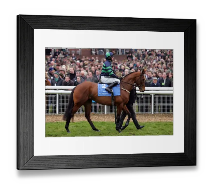 Framed Print : Al Eile Ridden By T.J Murphy Cheltenham Festival 2006 Cheltenham Racecourse Framed Print : Al Eile Ridden By T.J Murphy Cheltenham Festival 2006 Cheltenham Racecourse
