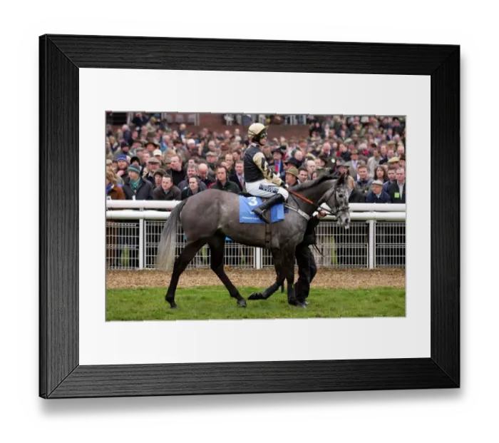 Framed Print : Arcalis Ridden By G.Lee Cheltenham Festival 2006 Cheltenham Racecourse