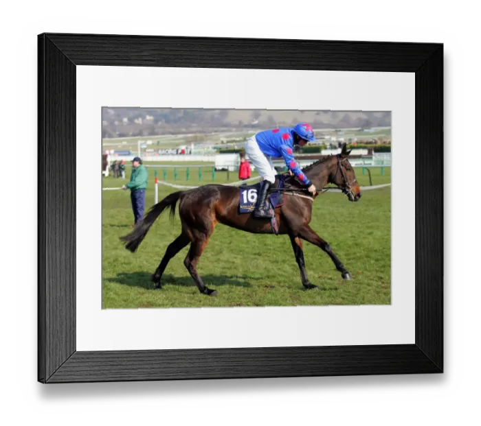 Framed Print : Shes Our Native