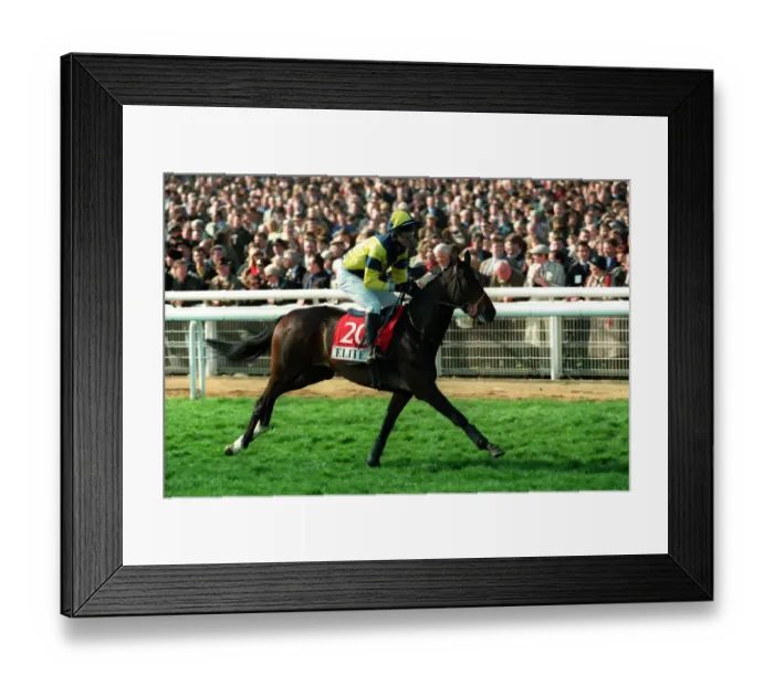 Framed Print : Tough Act Ridden By Graham Bradley 20 March 1998 Date: 20 March 1998 Framed Print : Tough Act Ridden By Graham Bradley 20 March 1998 Date: 20 March 1998