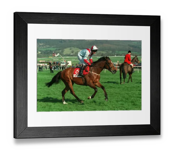 Framed Print : Ocean Hawk Framed Print : Ocean Hawk
