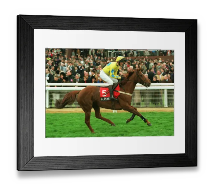 Framed Print : Ground Nut Framed Print : Ground Nut