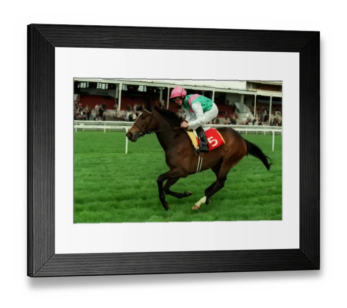 Framed Print : Jibe Ridden By K.Fallon 17 April 1998 Date: 17 April 1998 Framed Print : Jibe Ridden By K.Fallon 17 April 1998 Date: 17 April 1998