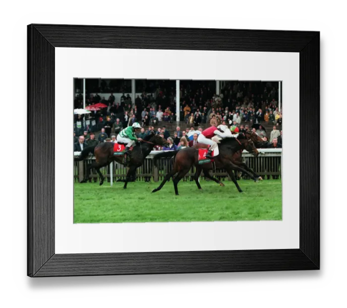 Framed Print : Apprehension Wins The Sefton