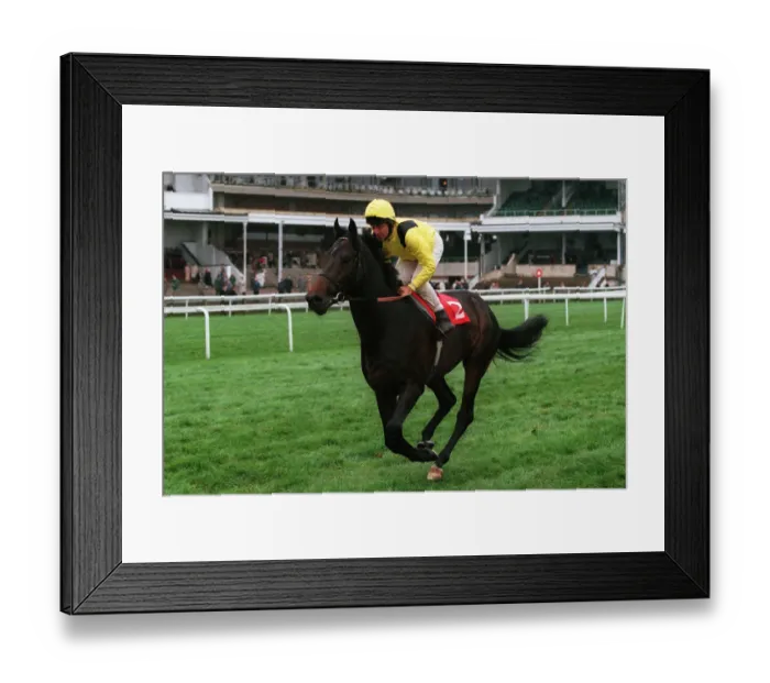 Framed Print : Almandab Ridden By Pat Eddery 05 May 1998 Date: 05 May 1998 Framed Print : Almandab Ridden By Pat Eddery 05 May 1998 Date: 05 May 1998