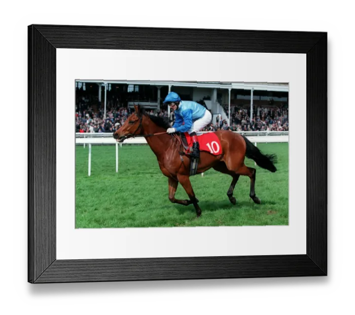 Framed Print : Tedburrow Ridden By K.Fallon 05 May 1998 Date: 05 May 1998 Framed Print : Tedburrow Ridden By K.Fallon 05 May 1998 Date: 05 May 1998