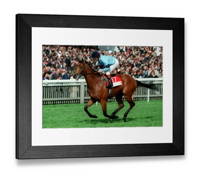 Framed Print : Tamarisk Ridden By J.Reid 05 May 1998 Date: 05 May 1998 Framed Print : Tamarisk Ridden By J.Reid 05 May 1998 Date: 05 May 1998