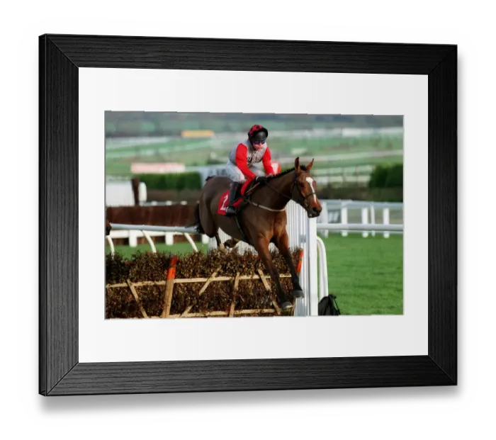 Framed Print : Beau Ridden By C.Llewellyn 14 December 1998 Date: 14 December 1998