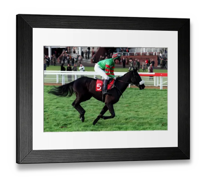 Framed Print : Blackoid Ridden By C.Maude 14 December 1998 Date: 14 December 1998 Framed Print : Blackoid Ridden By C.Maude 14 December 1998 Date: 14 December 1998