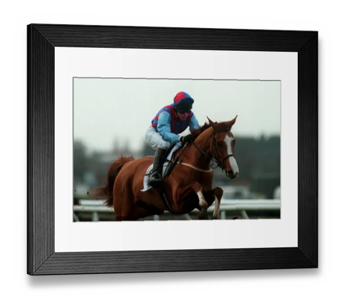 Framed Print : Prominent Profile Framed Print : Prominent Profile