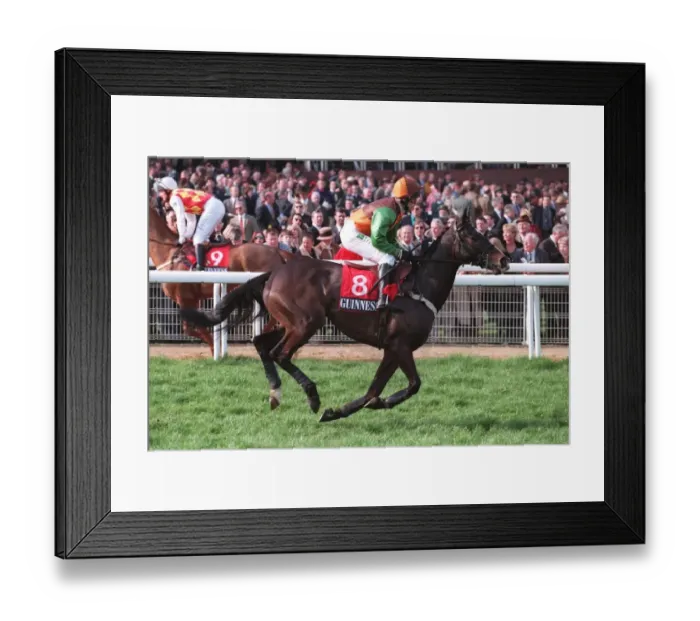 Framed Print : Nipper Reed Framed Print : Nipper Reed