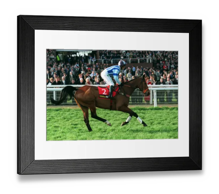 Framed Print : Macgeorge Ridden By A.Maguire 23 March 1999 Date: 23 March 1999 Framed Print : Macgeorge Ridden By A.Maguire 23 March 1999 Date: 23 March 1999