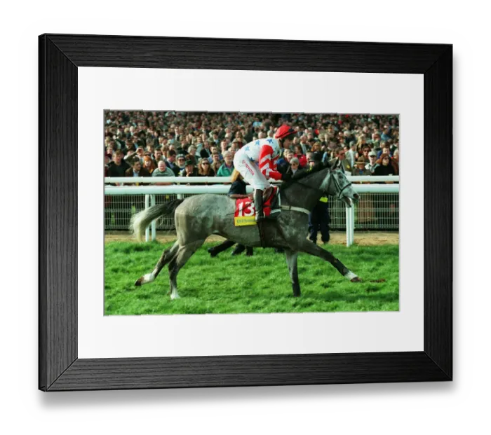 Framed Print : Zafarabad Ridden By R.Johnson 23 March 1999 Date: 23 March 1999 Framed Print : Zafarabad Ridden By R.Johnson 23 March 1999 Date: 23 March 1999