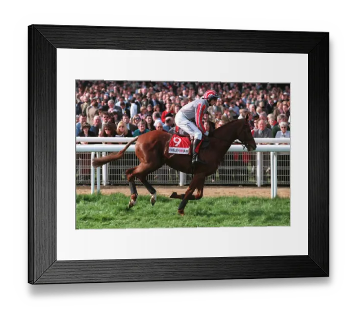 Framed Print : Kadastrof Ridden By A.Thornton 23 March 1999 Date: 23 March 1999 Framed Print : Kadastrof Ridden By A.Thornton 23 March 1999 Date: 23 March 1999