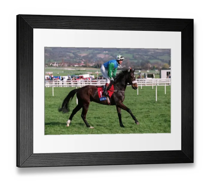 Framed Print : Daraydan Ridden By R.Hughes 23 March 1999 Date: 23 March 1999 Framed Print : Daraydan Ridden By R.Hughes 23 March 1999 Date: 23 March 1999