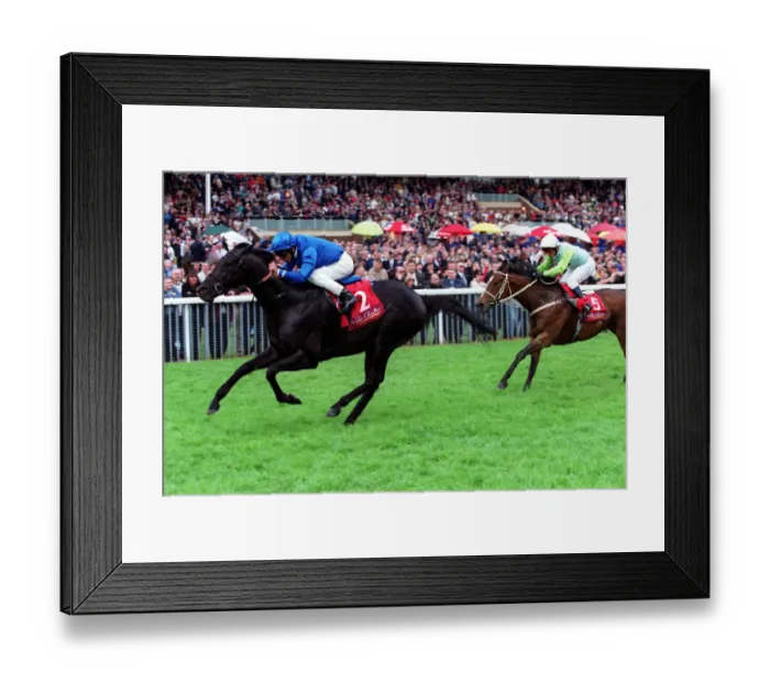Framed Print : Lend A Hand Wins Victor Framed Print : Lend A Hand Wins Victor