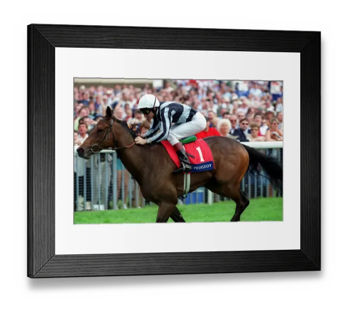 Framed Print : Enthused Ridden By John Murtagh York Racecourse 22 August 2000 Date: 22 August 2000 Framed Print : Enthused Ridden By John Murtagh York Racecourse 22 August 2000 Date: 22 August 2000