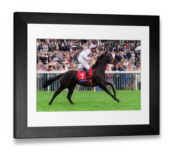 Framed Print : Party Charmer Framed Print : Party Charmer