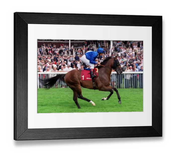 Framed Print : Bertolini Ridden By L.Dettori York Racecourse 22 August 2000 Date: 22 August 2000 Framed Print : Bertolini Ridden By L.Dettori York Racecourse 22 August 2000 Date: 22 August 2000