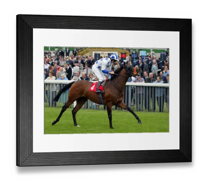 Framed Print : Frankies Dream
