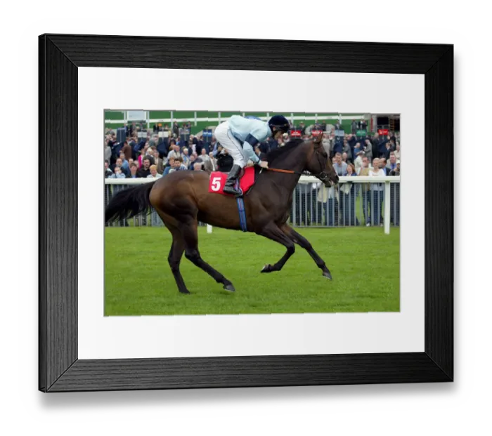 Framed Print : Highest Ridden By J.Murtagh York Races York Racecourse, York 20 August 2002 Date Framed Print : Highest Ridden By J.Murtagh York Races York Racecourse, York 20 August 2002 Date