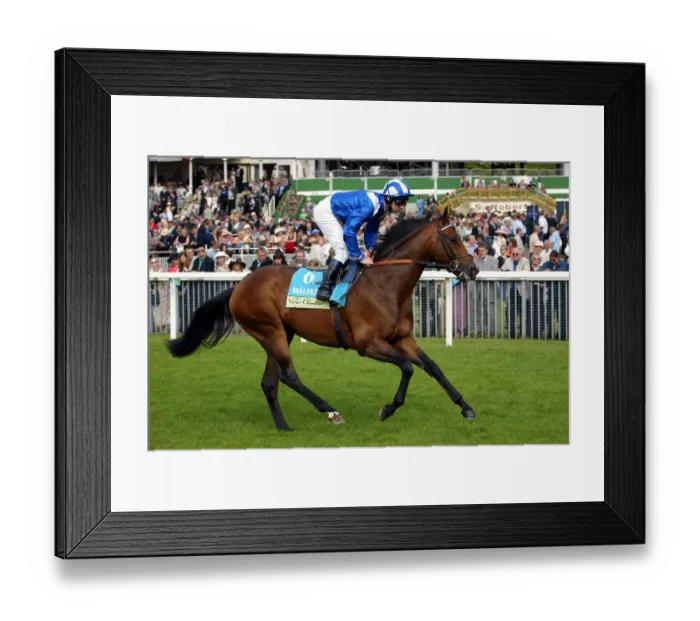 Framed Print : Malhub Ridden By Richard Hills York Races York Racecourse, York 22 August 2002 Date Framed Print : Malhub Ridden By Richard Hills York Races York Racecourse, York 22 August 2002 Date